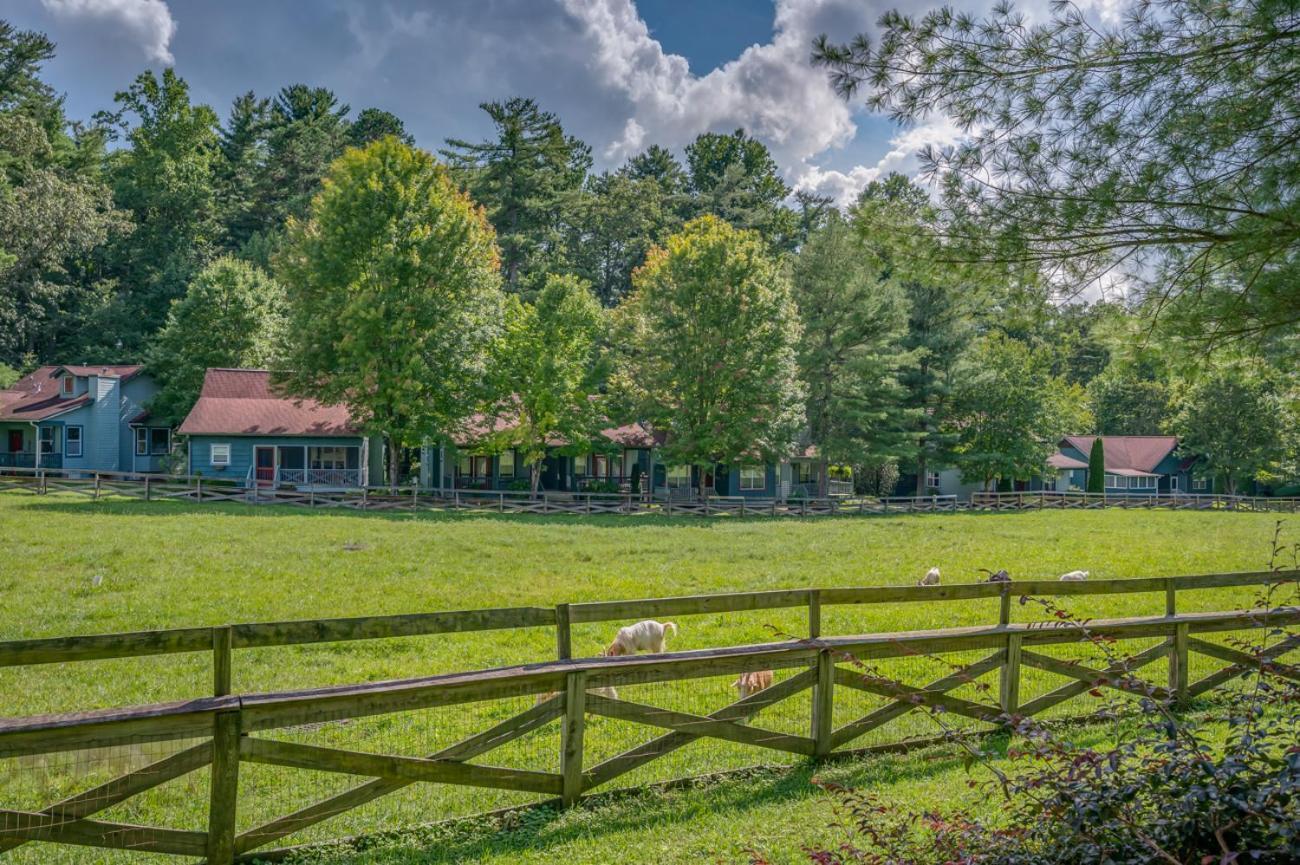 Buttercup Cottage Эшвилл Экстерьер фото