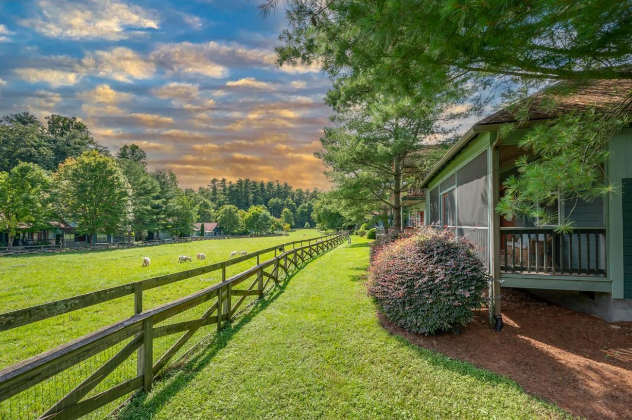 Buttercup Cottage Эшвилл Экстерьер фото
